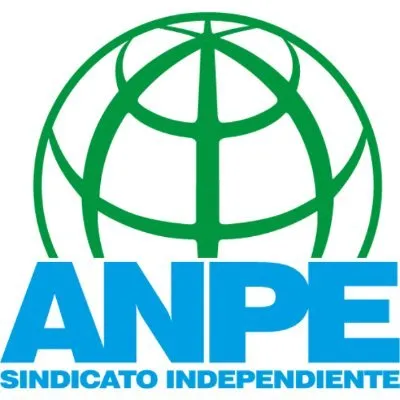 anpe.es's icon