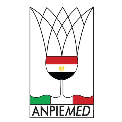 anpiemed.org's icon