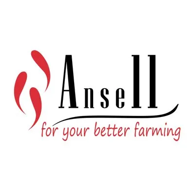 anselljaya.com's icon