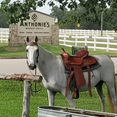 anthonies.com's icon