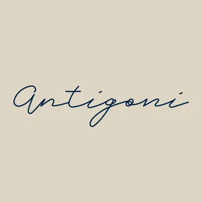 antigonibeach.gr's icon