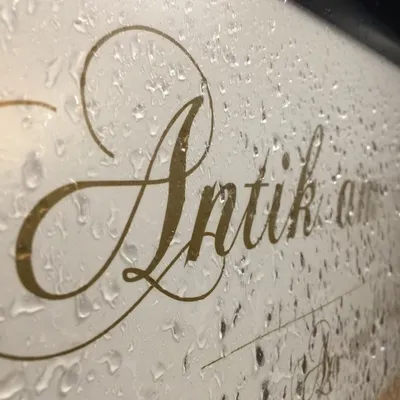 antikamrathaus.com's icon