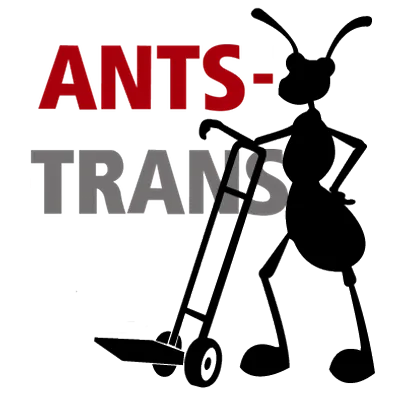 antstrans.at's icon