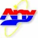 any-jp.com's icon