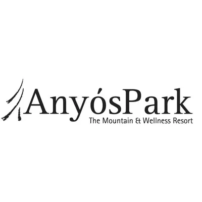 anyospark.com's icon
