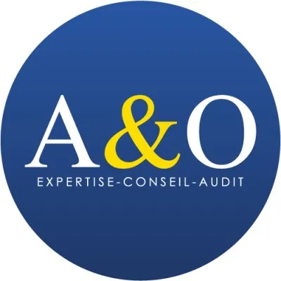ao-expertise.com's icon