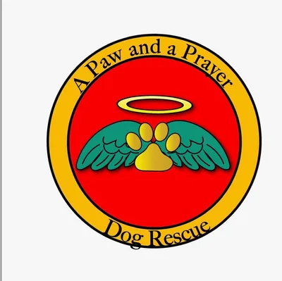 apawandaprayer.com's icon