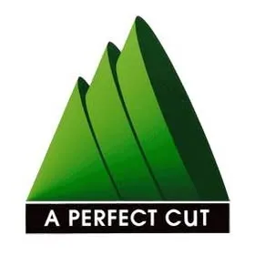 aperfectcuttree.com's icon