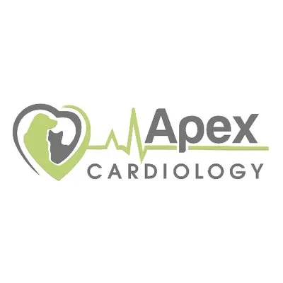 apexsynergyltd.com's icon