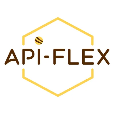 api-flex.com's icon