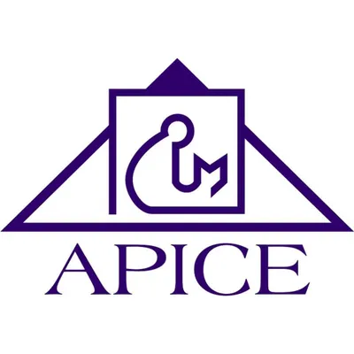 apice.org.co's icon