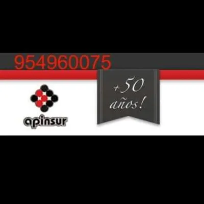 apinsur.net's icon