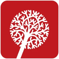 apipsiquiatria.pt's icon