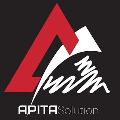 apitasolution.com's icon