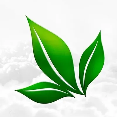 aplgo.com's icon