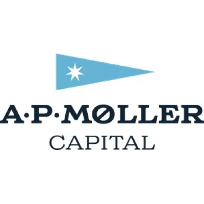 apmollercapital.com's icon