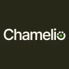 Chamelio.ai Hub logo