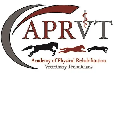aprvt.com's icon