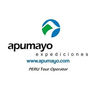 apumayo.com's icon
