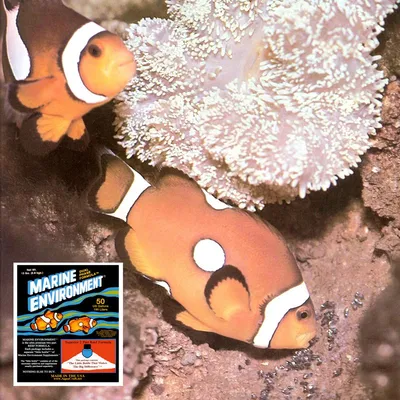 aquacraft.net's icon