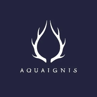 aquaignis.jp's icon