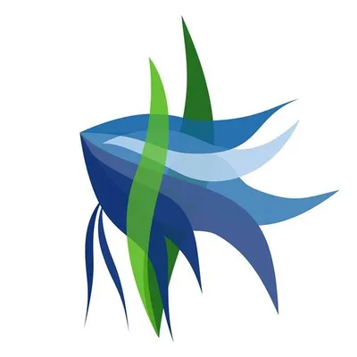 aquariumwarenhuis.nl's icon