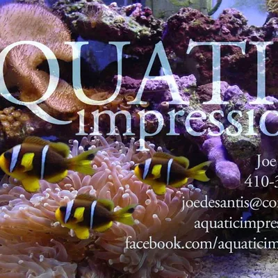 aquaticimpressions.net's icon