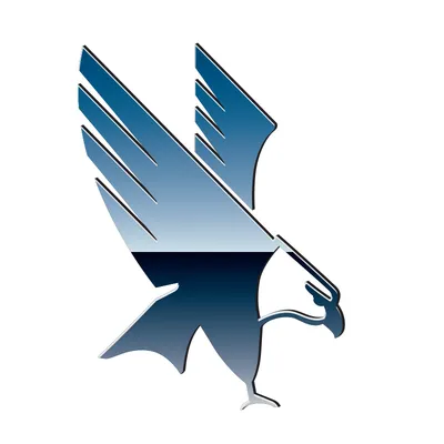 aquila.ro's icon