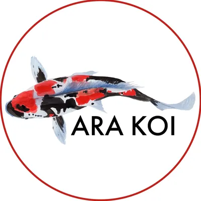 ara-koi.de's icon