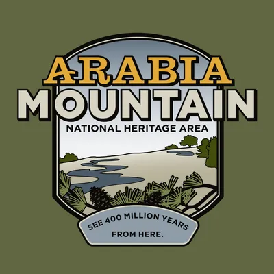 arabiaalliance.org's icon