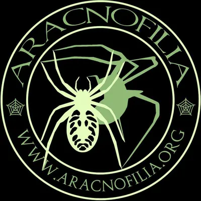 aracnofilia.org's icon