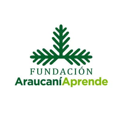 araucaniaprende.cl's icon