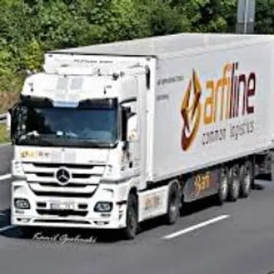 arfiline.lv's icon