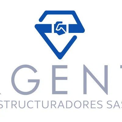 argentaestructuradores.com's icon