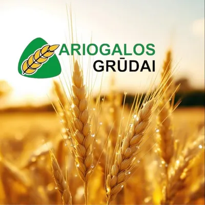 ariogalosgrudai.lt's icon