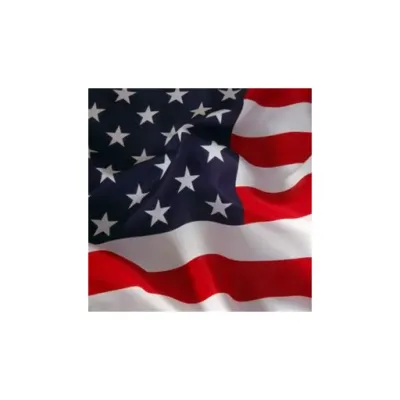 Arlington Cemetery's icon