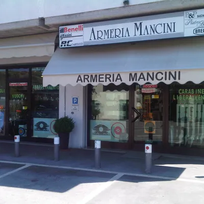 armeriamancini.com's icon