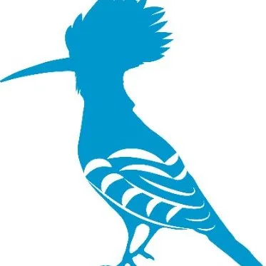 arocha.pt's icon