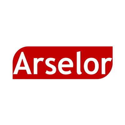 arselor.com's icon