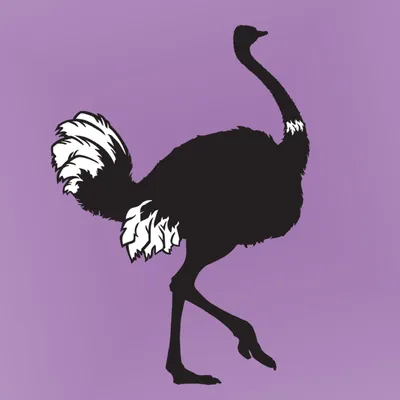 artestruzmallorca.com's icon