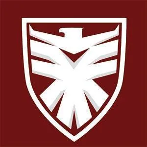 artkingstudio.com's icon