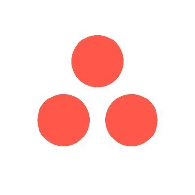 asana.co's icon