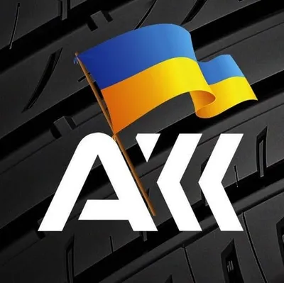 ascania-shina.com's icon
