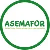 asemafor.cl's icon