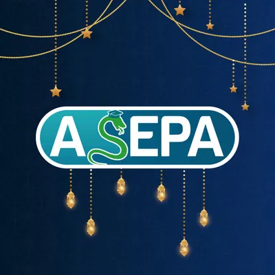 asepalg.com's icon