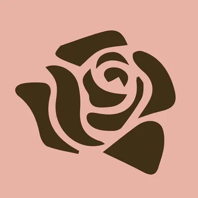 ashanticosmetics.com's icon