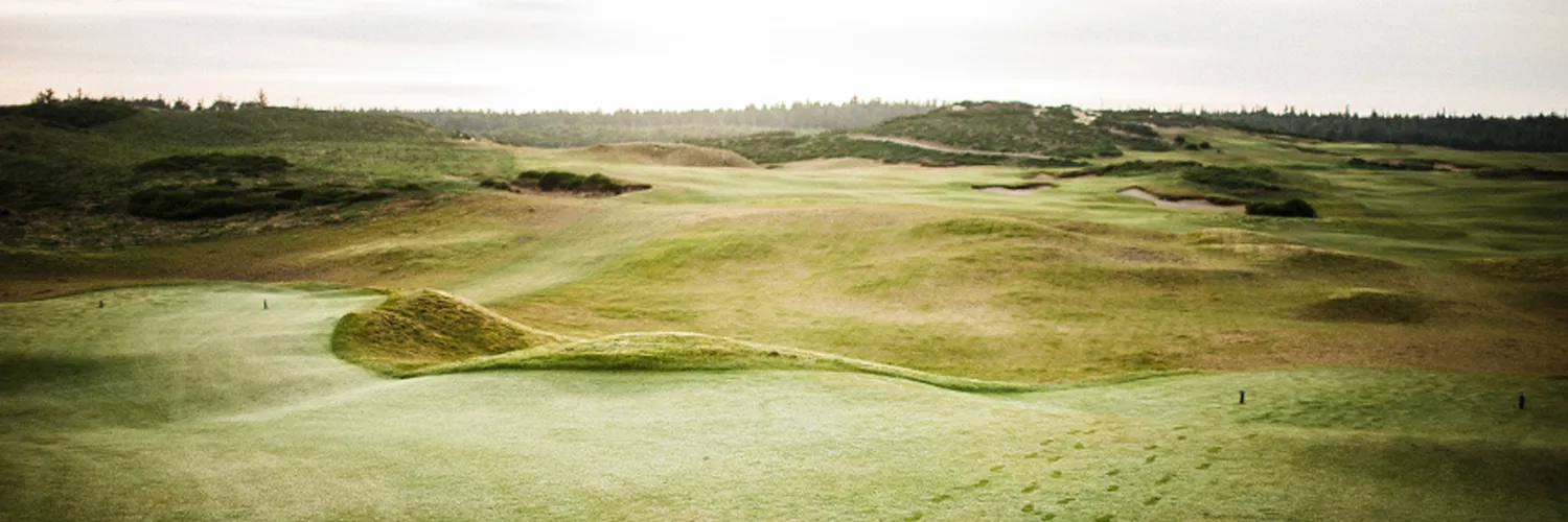 Ashworth Golf banner