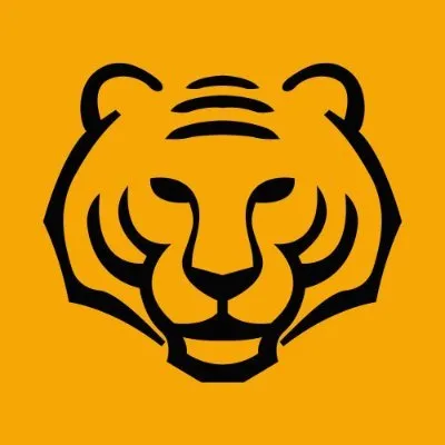 asiantigers-china.com's icon