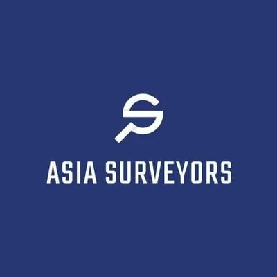 asiasurveyors.com's icon