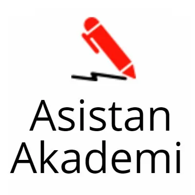 asistanakademi.com's icon